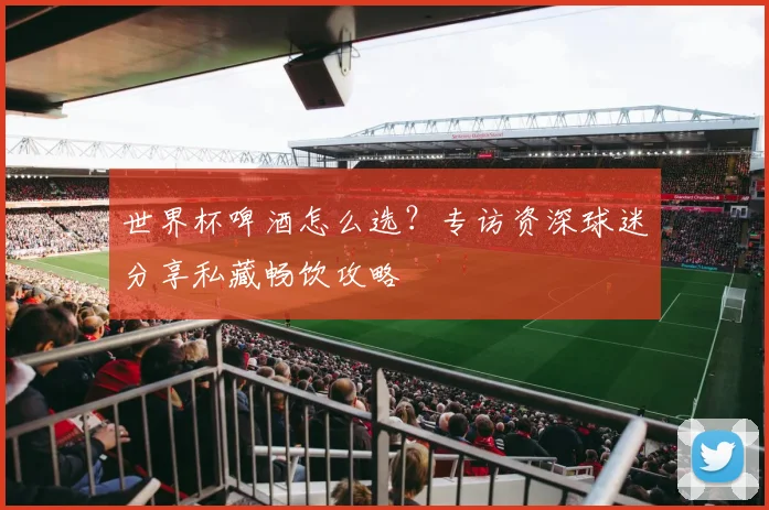 世界杯啤酒怎么选？专访资深球迷分享私藏畅饮攻略