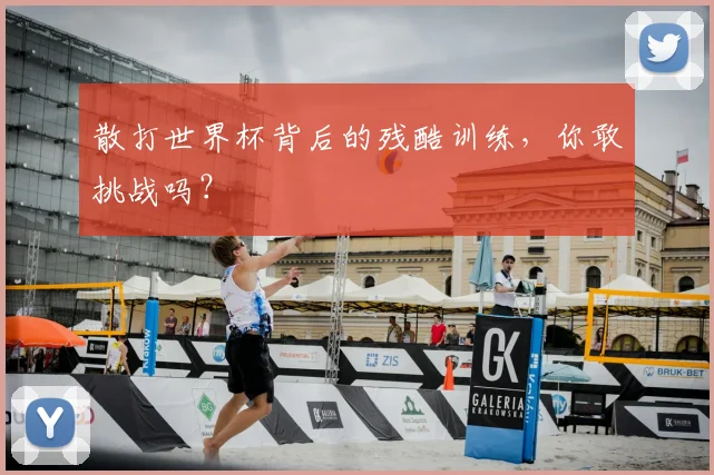 散打世界杯背后的残酷训练，你敢挑战吗？