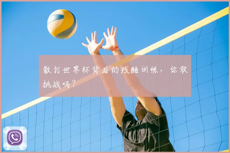 散打世界杯背后的残酷训练,你敢挑战吗?