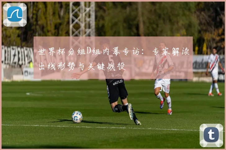 世界杯分组D组内幕专访：专家解读出线形势与关键战役